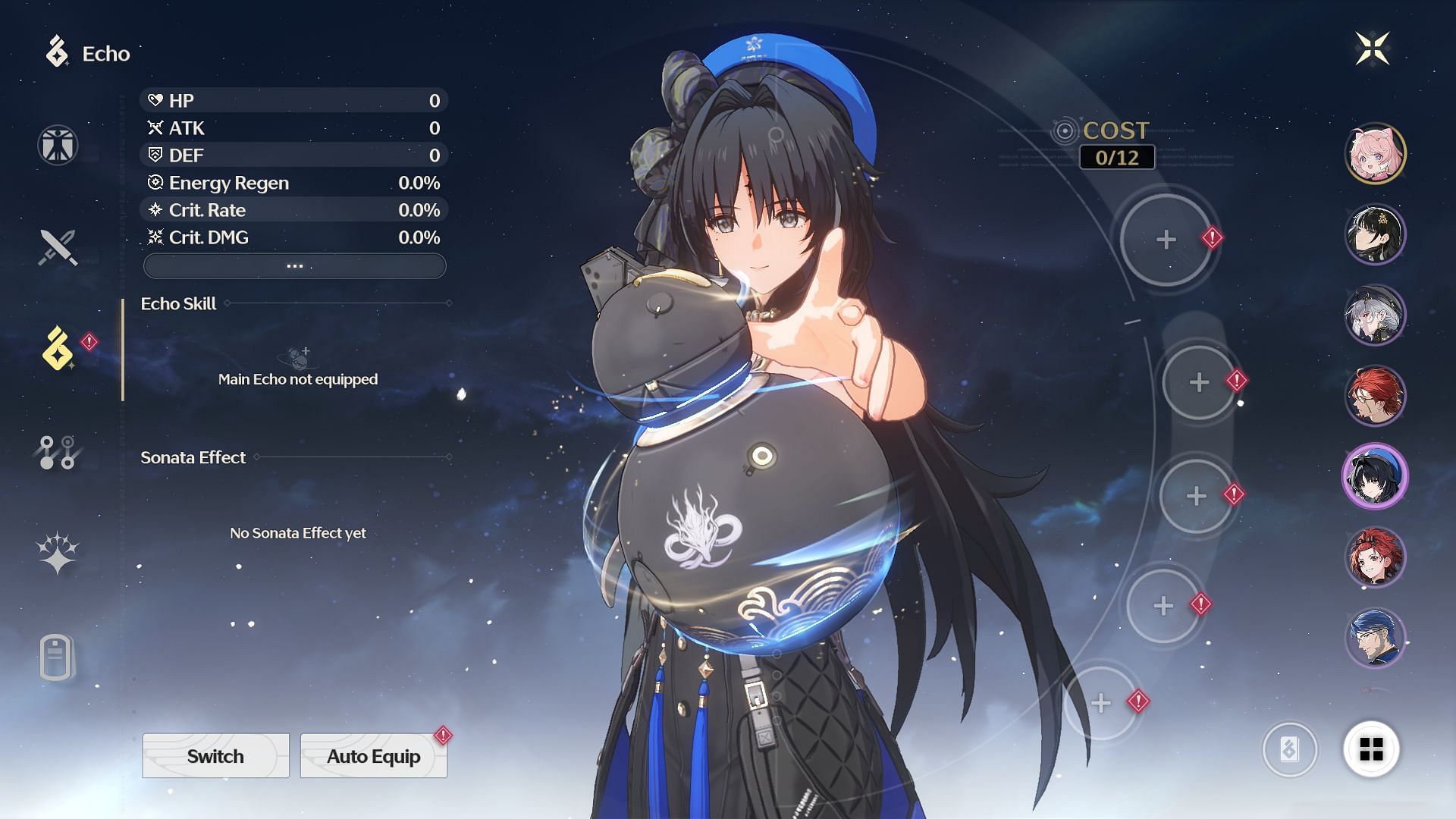 Equip Echoes here (Image via Kuro Games)